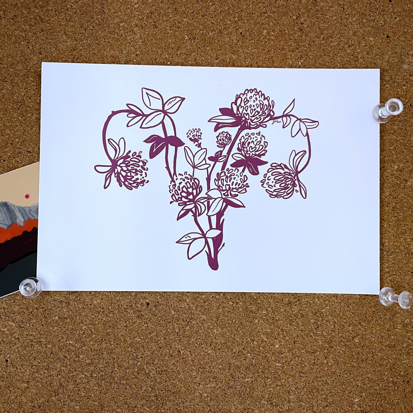 Botanical Uteri Card Bundle 4"x6"