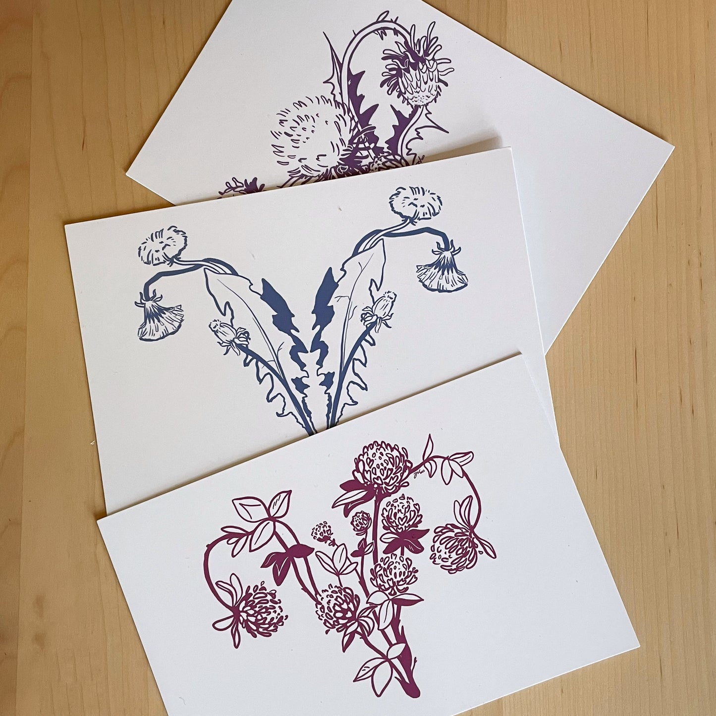 Botanical Uteri Card Bundle 4"x6"