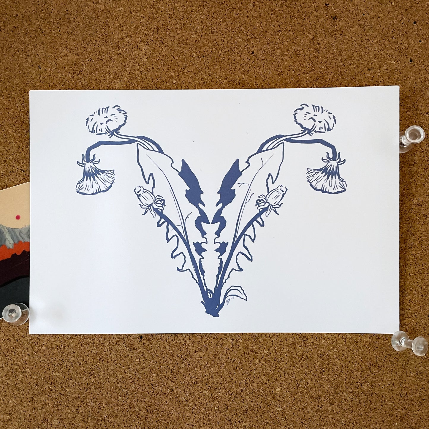 Botanical Uteri Card Bundle 4"x6"