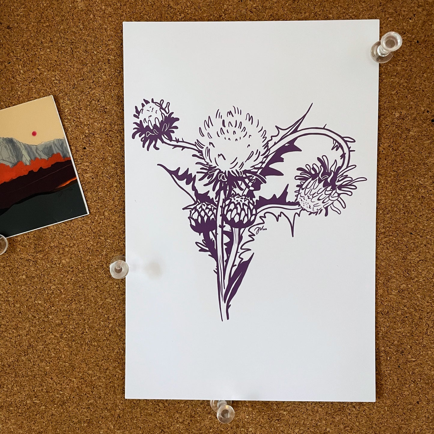 The Thistle Unicornuate Postcard 4"x6"